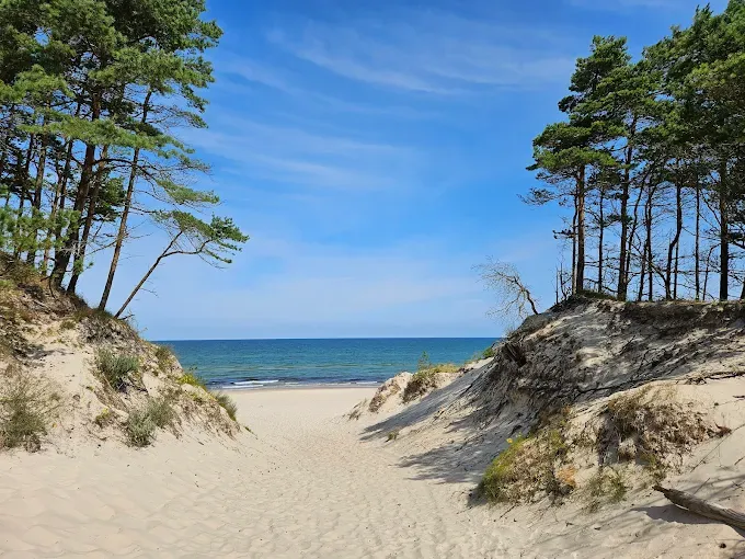 Wydmy przy plaży w Słowińskim Parku Narodowym